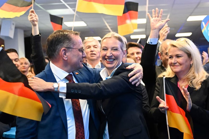 Profile of the far-right voter in Germany: men aged 35 to 44 with economic difficulties